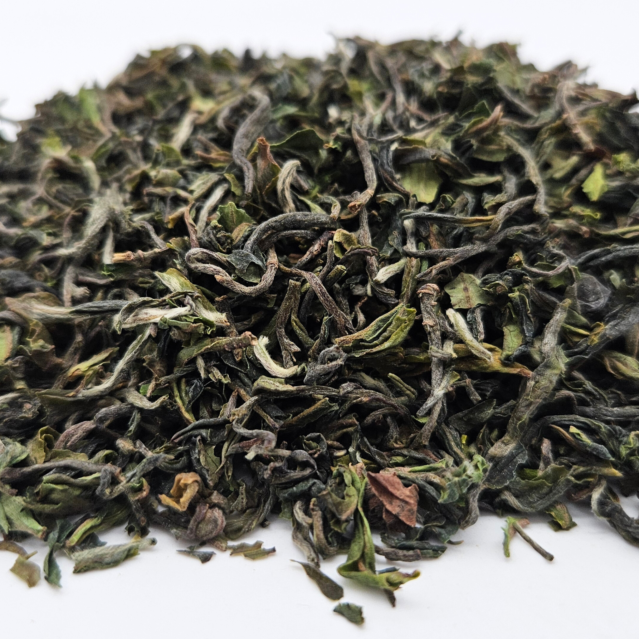 Schwarztee Flugtee 2025 Darjeeling 1st fl. FTGFOP1 Puttabong DJ3