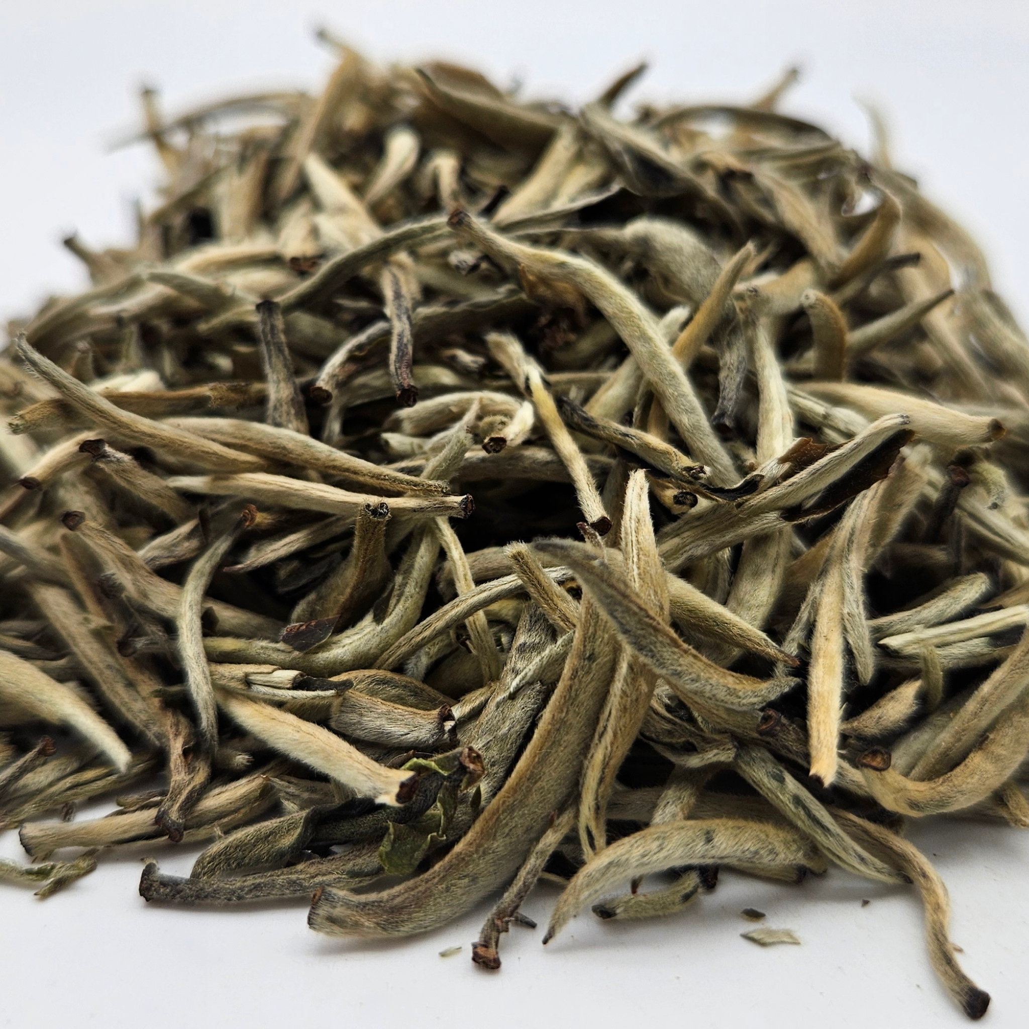 Weißer Tee China Guangxi White Bud Silver Needle