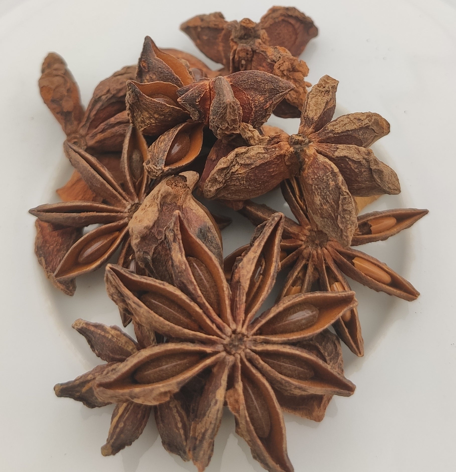 Gewürze und Kräuter Sternanis